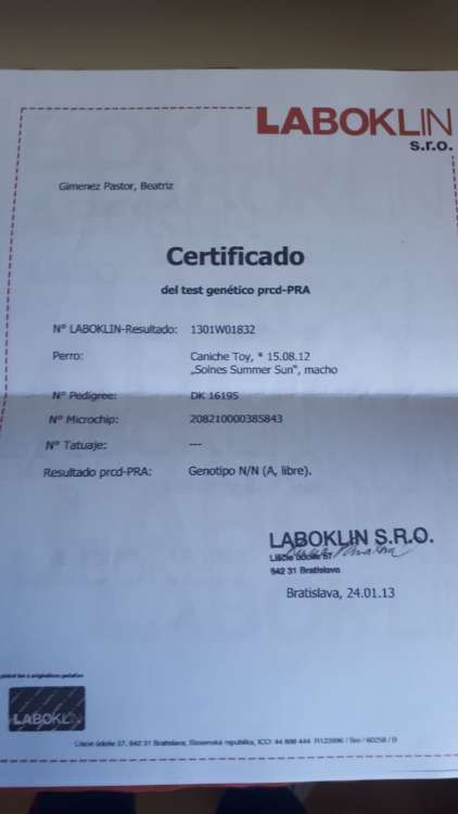 Caniche. Camada 3L. Delabea El Vinilo Contraataca.