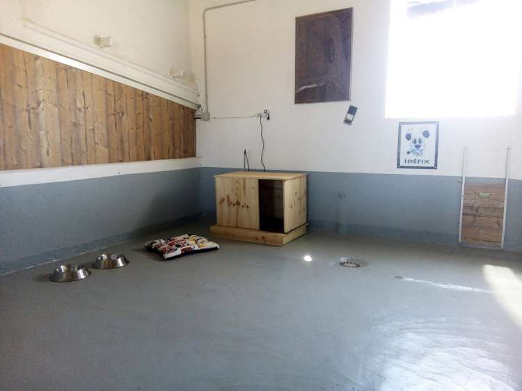 Interior Parque Gold Idéfix. Hotel Canino La Cadiera Interior Parque Gold Idéfix. Hotel Canino La Cadiera