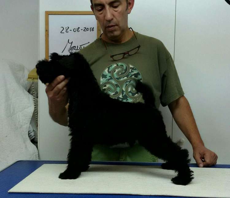 Camada 3M. La Cadiera Merlot. 2 meses.