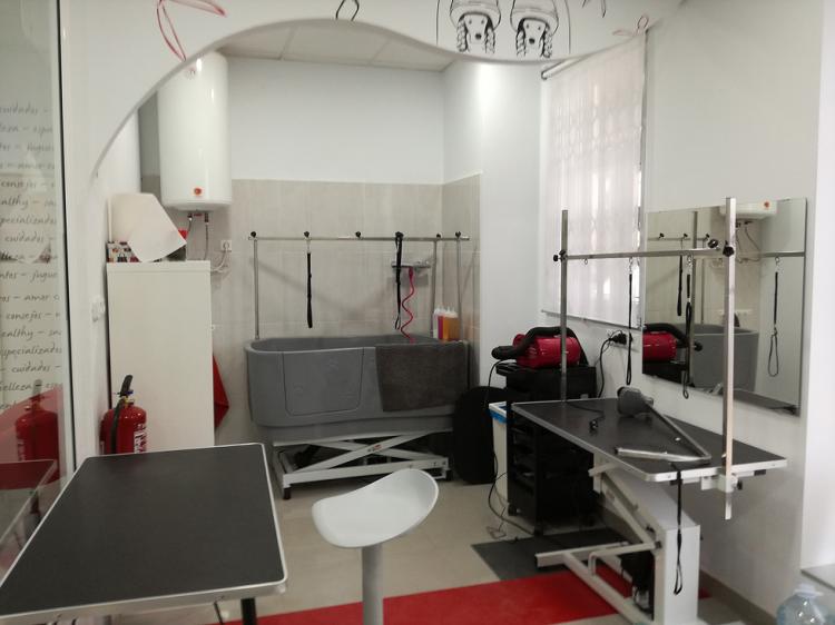 I Love Perros. Zona de cuidados de aseo e higiene