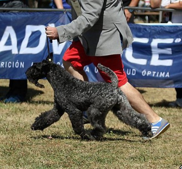 Historia de Super Menta. Yo en movimiento ! Historia de Super Menta. Yo en movimiento !