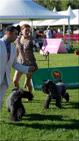 Corben compitiendo en Lisboa