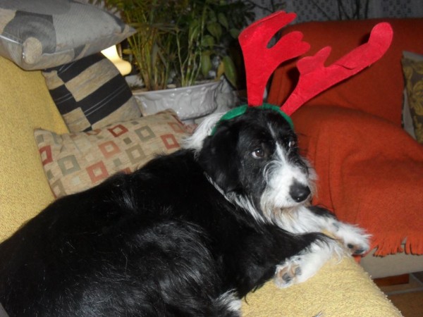 Pepa os desea un Feliz 2015