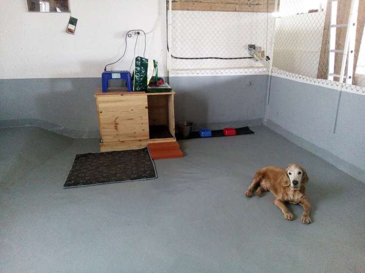 Goofy con 15 añitos.