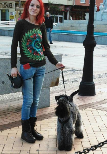 Kerry Blue Terrier. Robin y Gloria Bendita.