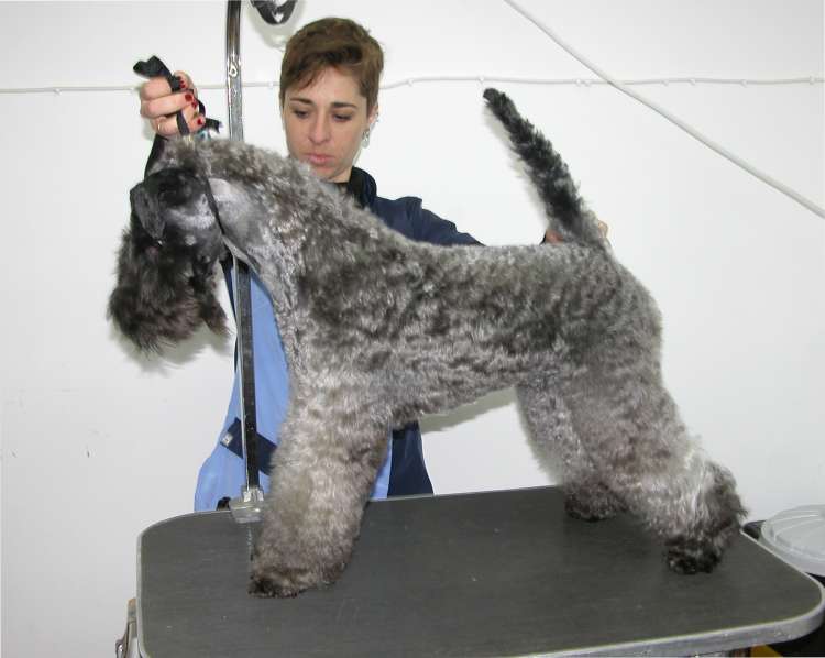 La Cadiera Karen con casi 13 meses.