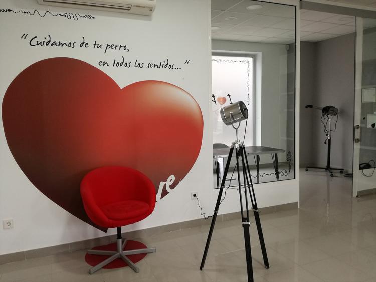 I Love Perros. Photocall I Love Perros. Photocall