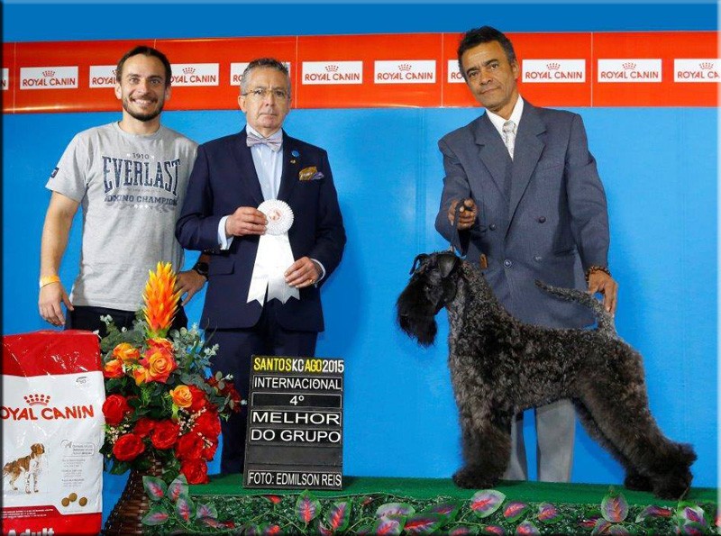 Guinness ganando en Brasil Guinness ganando en Brasil