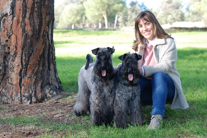 Kerry Blue Terrier. Rosa con Clarita y Camilo