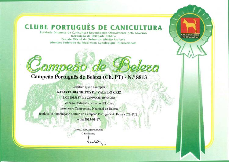 Ch. Kalixta Biankitos de Vale do Cruz. Podenco Portugués.  Titulo Ch. Portugal Kalixta Biankitos de Vale do Cruz.