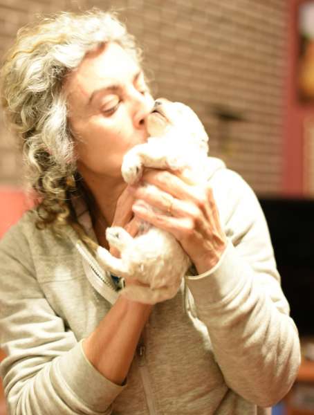 Camada 3J Caniche Enano. La Cadiera Jon Nieve con 3 semanas.