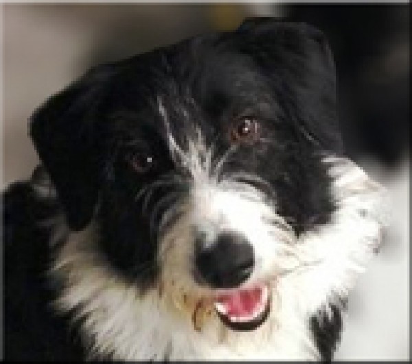  Sin determinar. Pepa. 