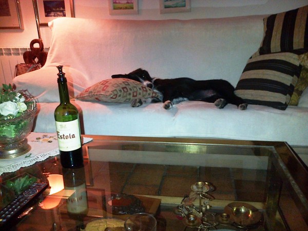 Nuestra recogida de Huellas. 