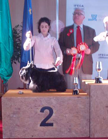 Scottish Terrier. Eversouth As Good As It Is.