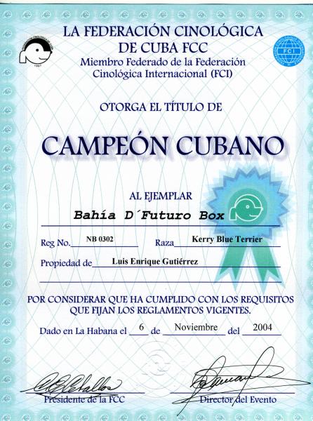 Kerry Blue Terrier.  Cuba Ch. Bahia De Futuro Box at La Cadiera.