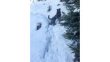 Kerry Blue Terrier. Cooper en la nieve