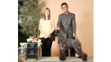 Kerry Blue Terrier. Ch. La Cadiera Diamonds Are Forever.