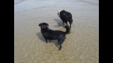 Pepa y Bimba en la playita