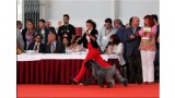 Kerry Blue Terrier. Multi Ch. Vin Diesel de La Cadiera con Maria.