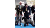 Kerry Blue Terrier. B.I.S. Multi Ch. Quinta Esencia de La Cadiera
