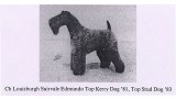 Kerry Blue Terrier. Ch. Louisburgh Suirvale Edmundo.