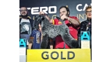 Kerry Blue Terrier. Oro en Artero 2018
