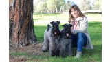 Kerry Blue Terrier. Rosa con Clarita y Camilo