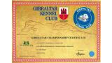 Ch. Kalixta Biankitos de Vale do Cruz. Podenco Portugués.  Titulo Ch. Gibraltar Kalixta Biankitos de Vale do Cruz.