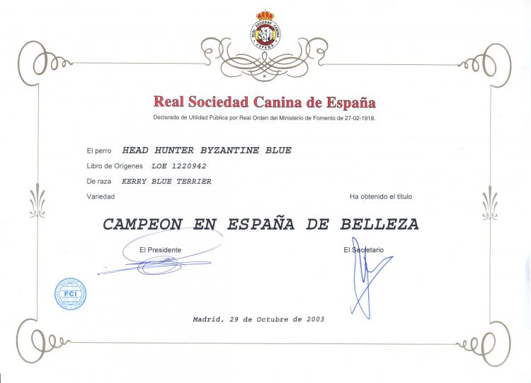Kerry Blue Terrier.  Spain Ch. Head Hunter Byzantine Blue at La Cadiera. Kerry Blue Terrier.  Spain Ch. Head Hunter Byzantine Blue at La Cadiera.