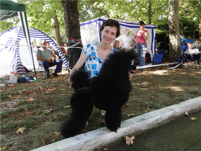 Caniche. Lat Sincerely Jp Summer Breeze. Caniche. Lat Sincerely Jp Summer Breeze.