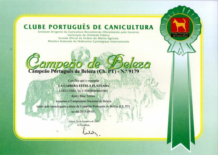 Kerry Blue Terrier. Portugal Ch. La Cadiera Estela Plateada.