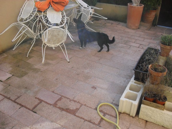 Nuestra recogida de Huellas. 