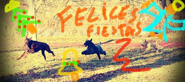 Menta os desea Felices Fiestas !!!