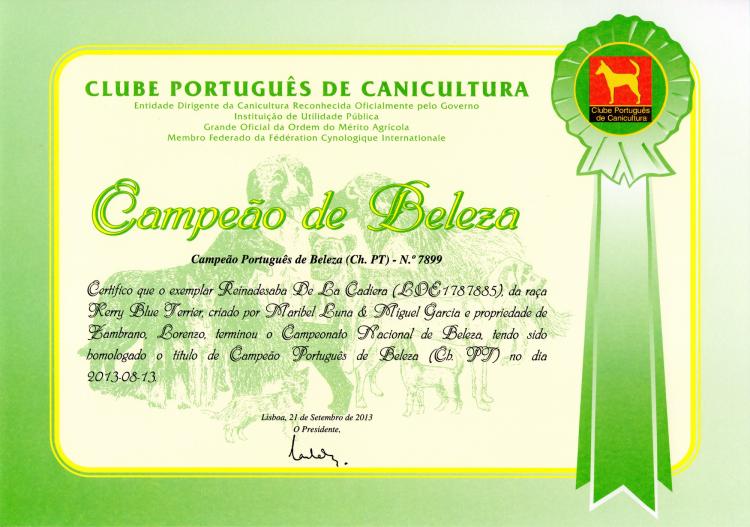 Kerry Blue Terrier. Portugal Ch. Reina de Saba de La Cadiera.
