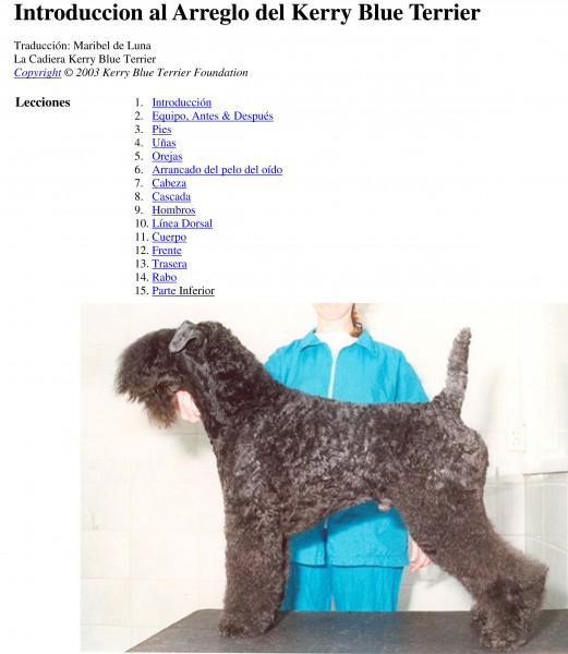 Kerry Blue Terrier.