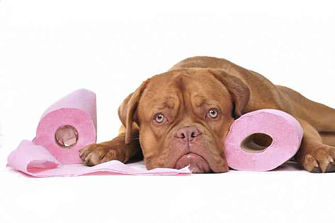 Enfermedades relacionadas con la alimentación 