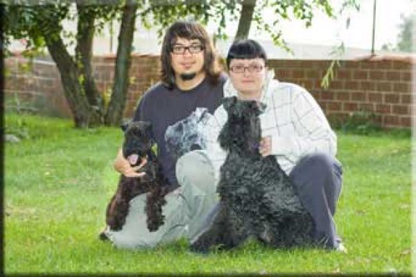 Kerry Blue Terrier. La Reina de Corazones de La Cadiera.  Kerry Blue Terrier. La Reina de Corazones de La Cadiera.