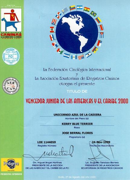 Ch. Unicornio Azul de La Cadiera,  El. Kerry Blue Terrier.  Americas Ch. Unicornio Azul de La Cadiera   El.