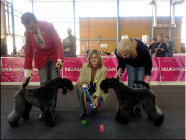 Corben Dallas BOB & Estela Plateada BOS