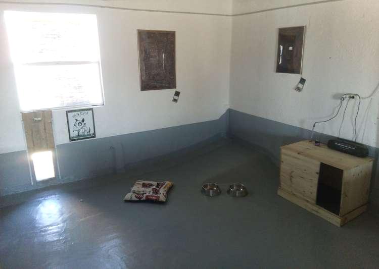 Interior Parque Gold Sparky. Hotel Canino La Cadiera Interior Parque Gold Sparky. Hotel Canino La Cadiera