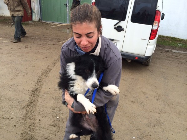 Nuestra recogida de Huellas. 