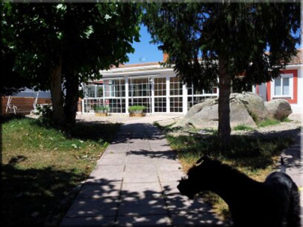 Ch. Hada Madrina de La Cadiera. Kerry Blue Terrier. La Cadiera con Hada.