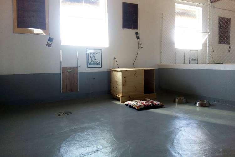 Interior Parque Gold Milú. Hotel Canino La Cadiera Interior Parque Gold Milú. Hotel Canino La Cadiera