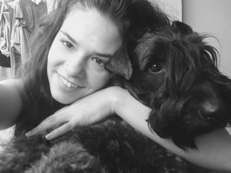 Kerry Blue Terrier. Noe con Zafi