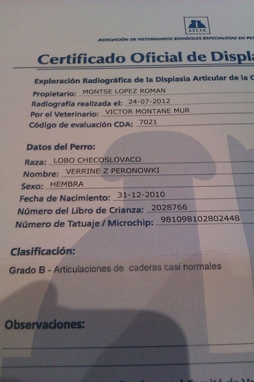 Perro Lobo Checo.  Ch. VERRINE Z PERONOWKI.