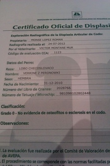 Perro Lobo Checo.  Ch. VERRINE Z PERONOWKI.