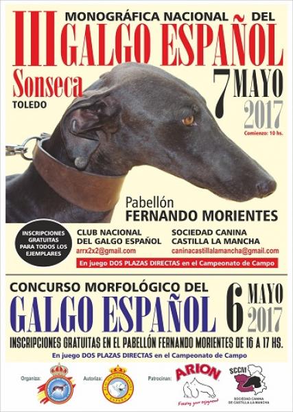 CLUB NACIONAL DEL GALGO ESPAÑOL - Galgo Español. Belleza. III MONOGRÁFICA NACIONAL DEL GALGO ESPAÑOL (Toledo   España)