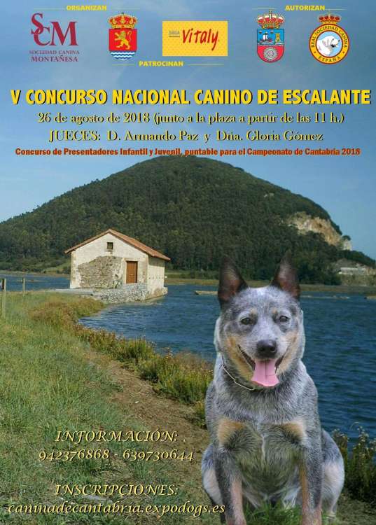 Belleza. V CONCURSO NACIONAL CANINO DE ESCALANTER (Cantabria   España)