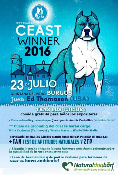 CLUB ESPAÑOL DEL AMERICAN STAFFORDSHIRE TERRIER - American Staffordshire Terrier. Belleza. EXPOSICIÓN MONOGRÁFICA DEL AMERICAN STAFFORDSHIDE TERRIER   CEAST WINNER 2016 (Burgos   España)