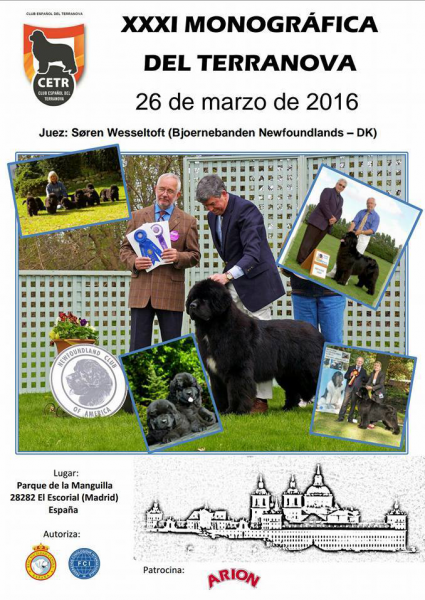 CLUB ESPAÑOL DEL TERRANOVA - Belleza. XXXI MONOGRÁFICA DEL TERRANOVA (Madrid   España)